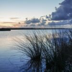 5 things to know about SpaceX plans for Louisiana | Business News