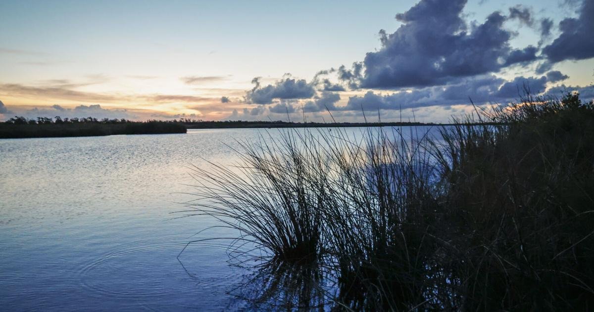 5 things to know about SpaceX plans for Louisiana | Business News