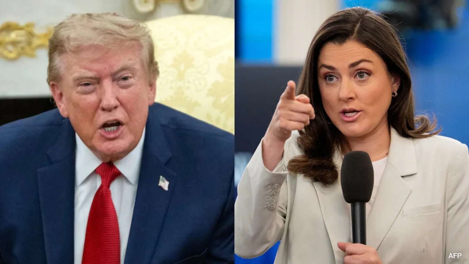 Trump Slams CNN Reporter Over Natalie Harp, North Korea Questions