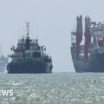 China hits out at 'illegal' new US sanctions on Iran and trading partners