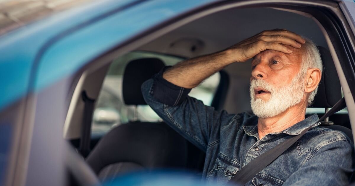 Drivers over 65 issued ‘nine-second’ warning