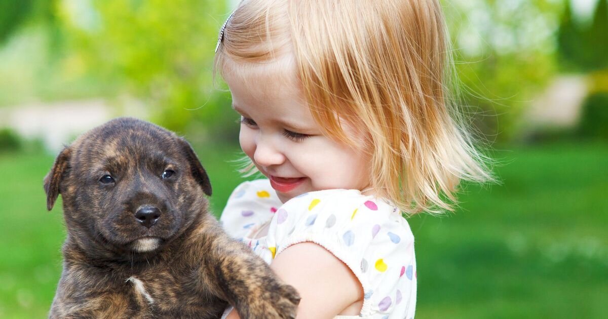 Dog name that was popular 56 years ago making a comeback in the UK