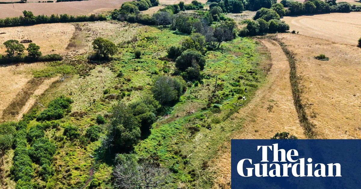 Rewilded land remains green amid drought-stricken English countryside, images show | Rewilding