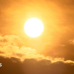 Hot weather 'unprecedented', says Reading based weather scientists