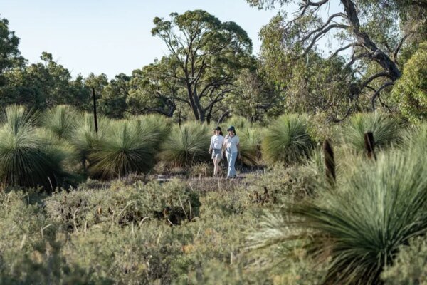 How environmental concern is changing the way young Australians think about money | Bank Australia: Money as a force for good