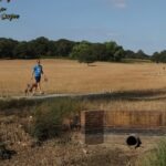 UK PM to chair emergency meeting on heatwaves, drought