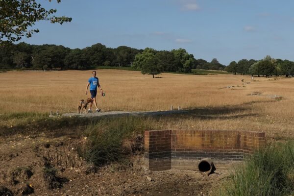 UK PM to chair emergency meeting on heatwaves, drought