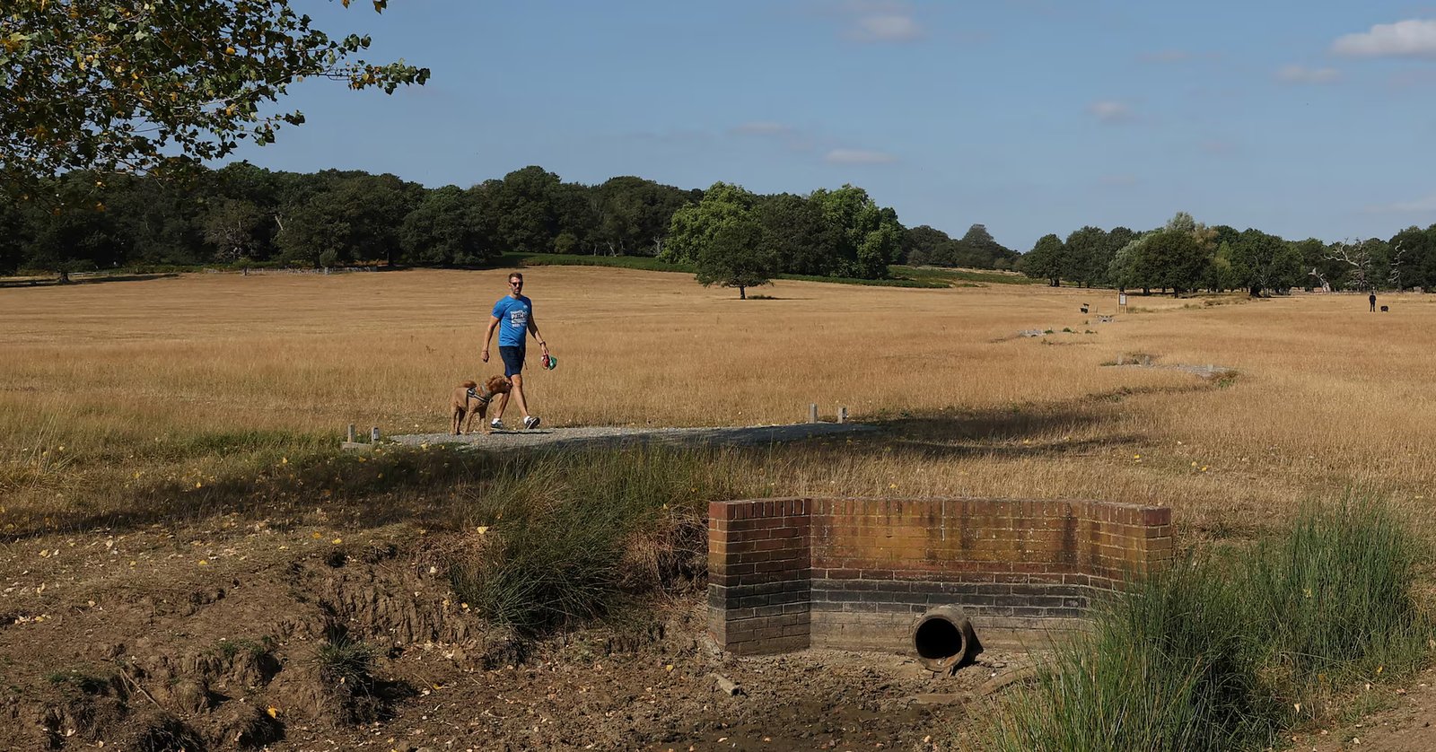 UK PM to chair emergency meeting on heatwaves, drought