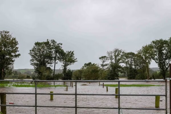 The floods will overwhelm Irish land. We can’t just sit back – The Irish Times
