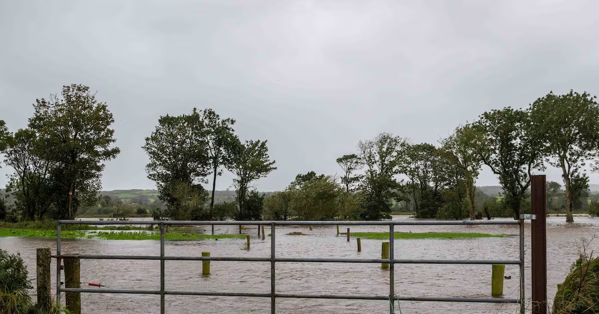 The floods will overwhelm Irish land. We can’t just sit back – The Irish Times
