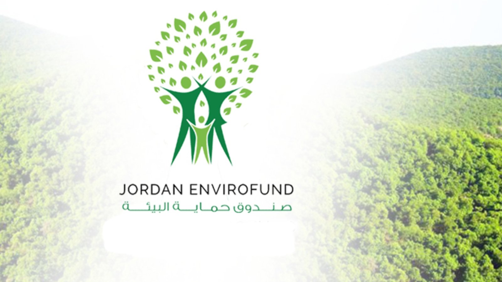 Environment Fund Approves New Projects to Advance Green Economy, Conservation