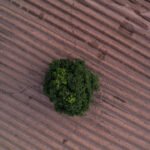 France says US risks ‘blocking everything’ at UN talks to protect world’s soils