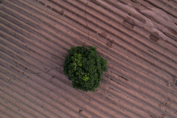 France says US risks ‘blocking everything’ at UN talks to protect world’s soils