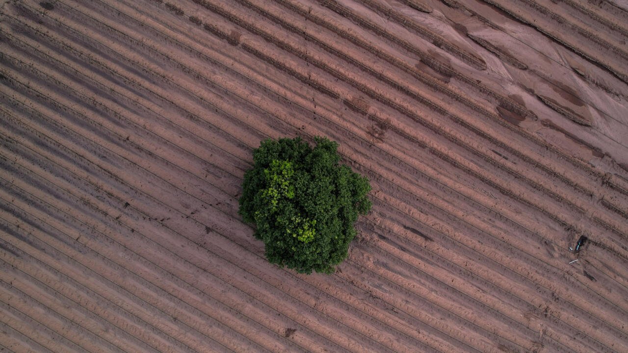 France says US risks ‘blocking everything’ at UN talks to protect world’s soils