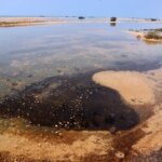 TomDispatch: Ecocide in Iran