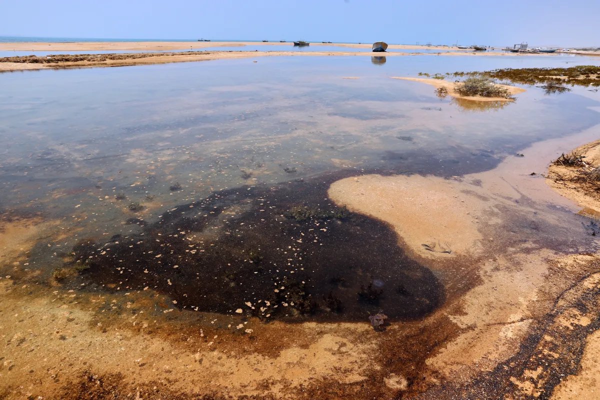 TomDispatch: Ecocide in Iran