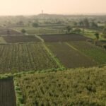 Scaling Agri Resilience: From India to the World