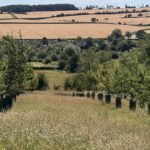 NatWest extends drought support to agriculture and environmental horticulture