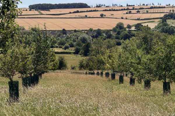 NatWest extends drought support to agriculture and environmental horticulture