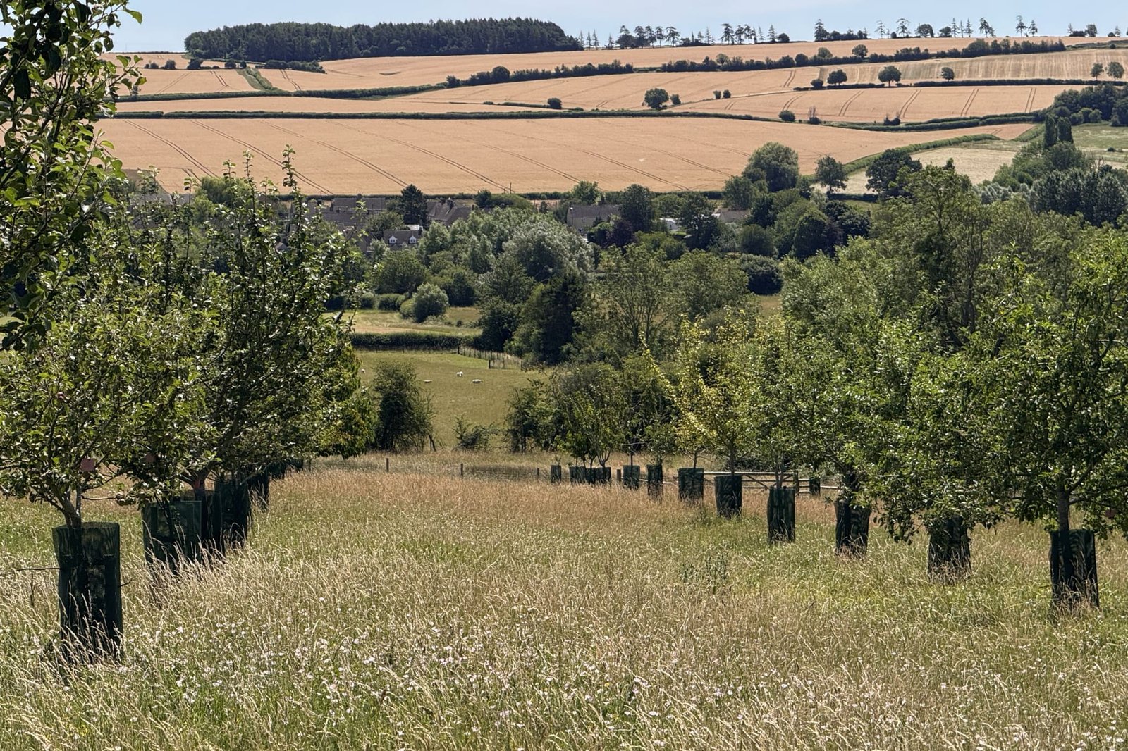 NatWest extends drought support to agriculture and environmental horticulture