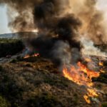 Environmental Justice Foundation | 'The climate alarm is blaring'