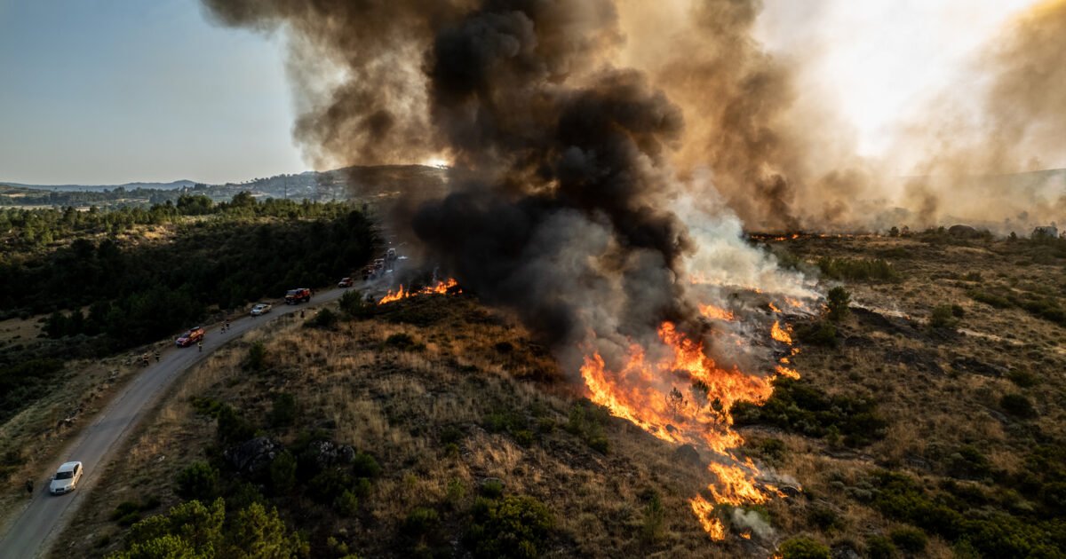 Environmental Justice Foundation | 'The climate alarm is blaring'