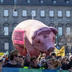 Cleaner water push tests Denmark’s pact with farmers