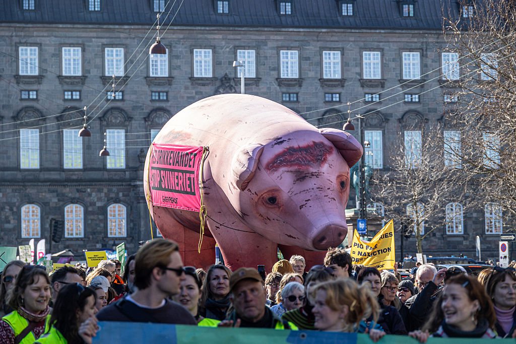 Cleaner water push tests Denmark’s pact with farmers