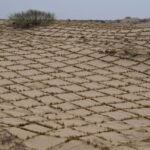 Desertification summit deadlocked as EU slams ‘concerning’ obstruction