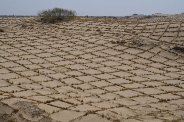 Desertification summit deadlocked as EU slams ‘concerning’ obstruction