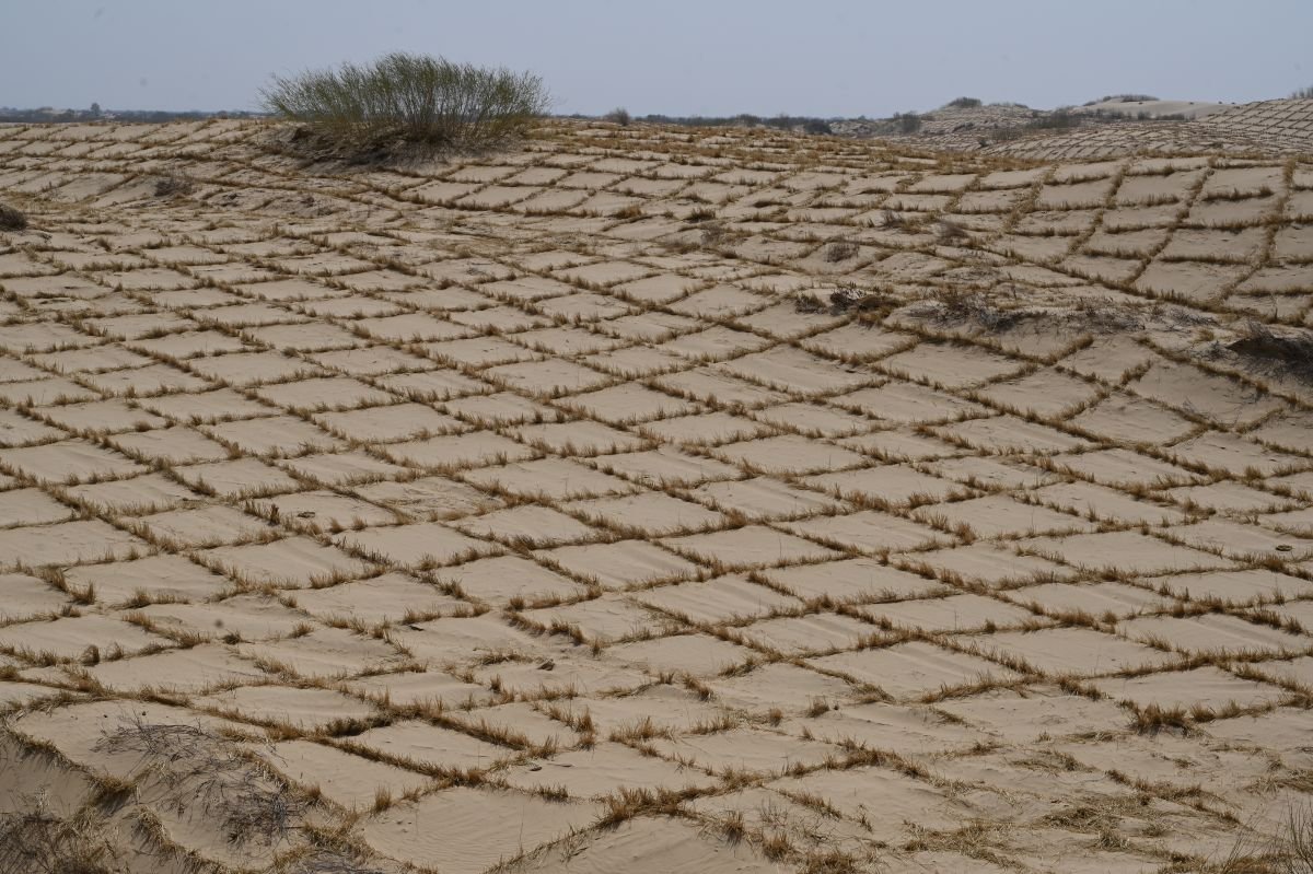 Desertification summit deadlocked as EU slams ‘concerning’ obstruction