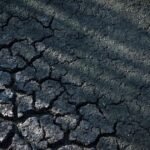 Scorching summer will cost France €10B to €15B, environment minister estimates – POLITICO