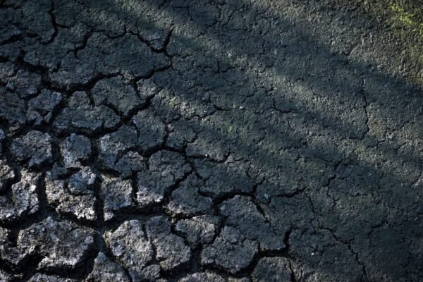 Scorching summer will cost France €10B to €15B, environment minister estimates – POLITICO
