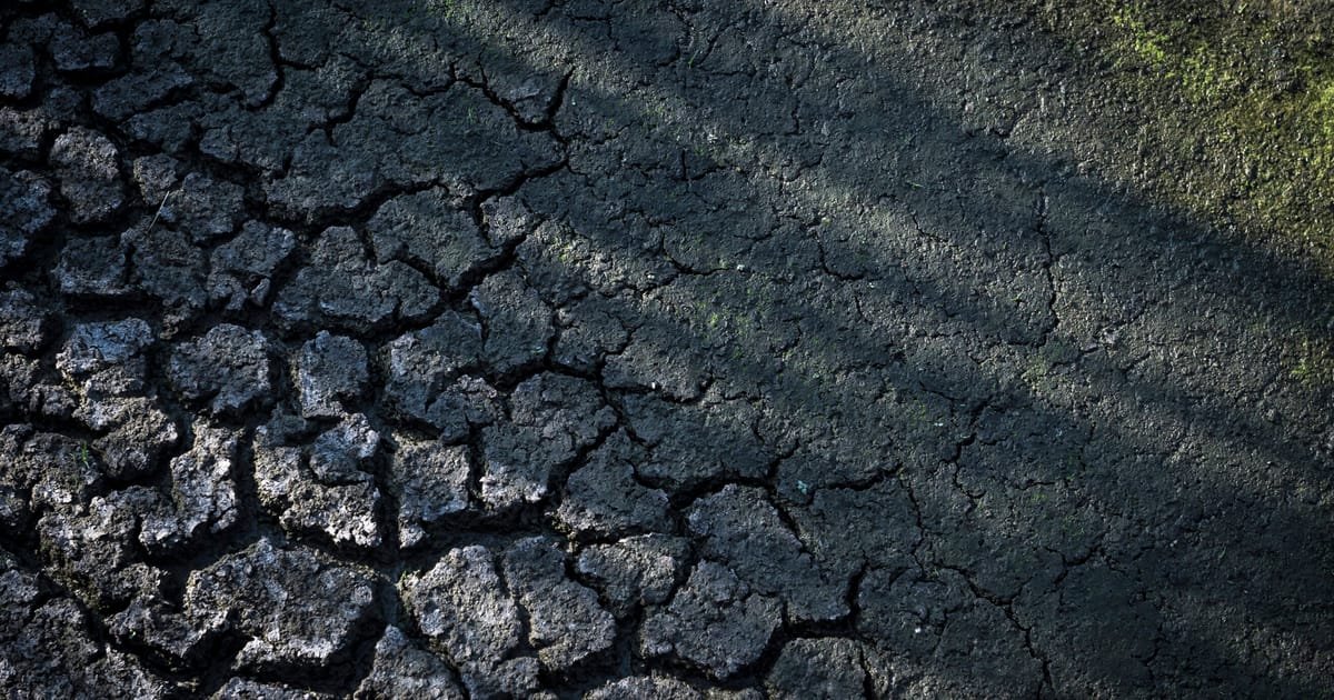 Scorching summer will cost France €10B to €15B, environment minister estimates – POLITICO
