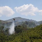 Greece arrests more than 280 for starting fires