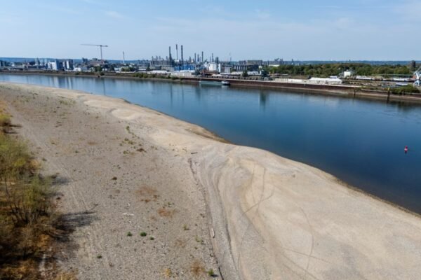As rivers gain rights, the Rhine is next in line