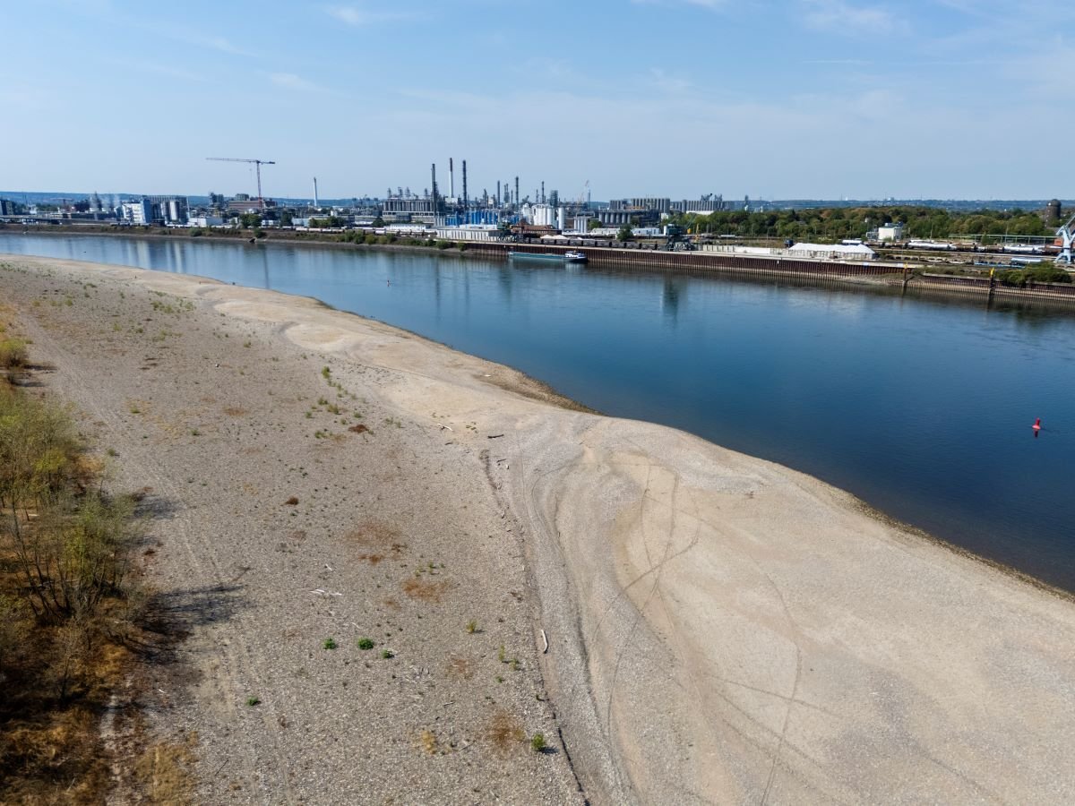 As rivers gain rights, the Rhine is next in line