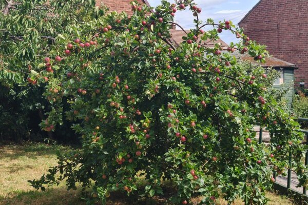 Healing people and the environment: Grindon URC Community Centre, Sunderland