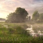 Environment Bank supports Loughborough University scheme with biodiversity units