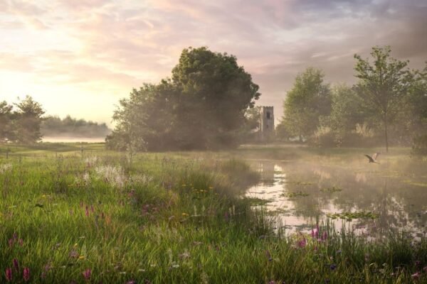 Environment Bank supports Loughborough University scheme with biodiversity units