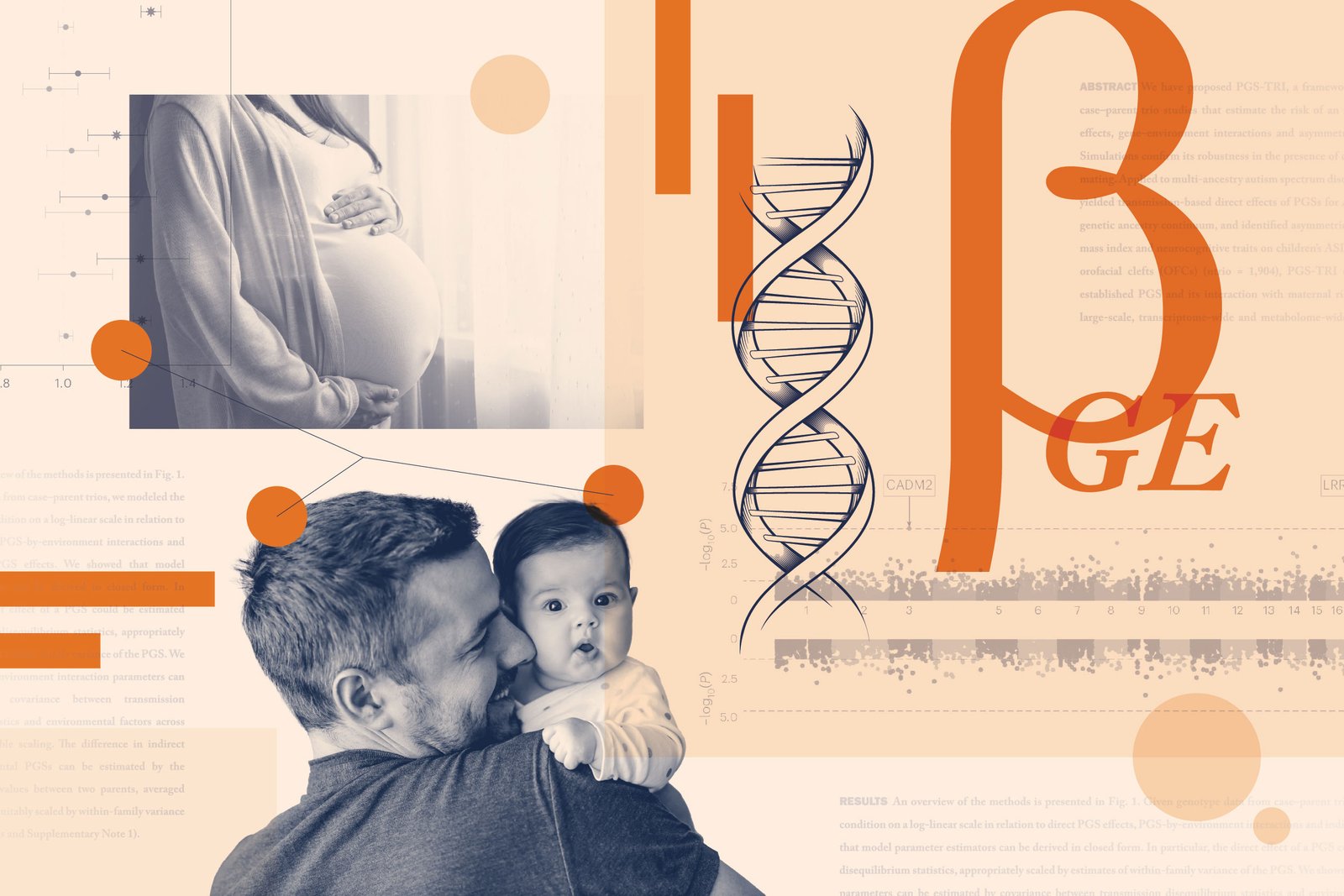 Q&A: How do genes and environment shape the probability of autism?