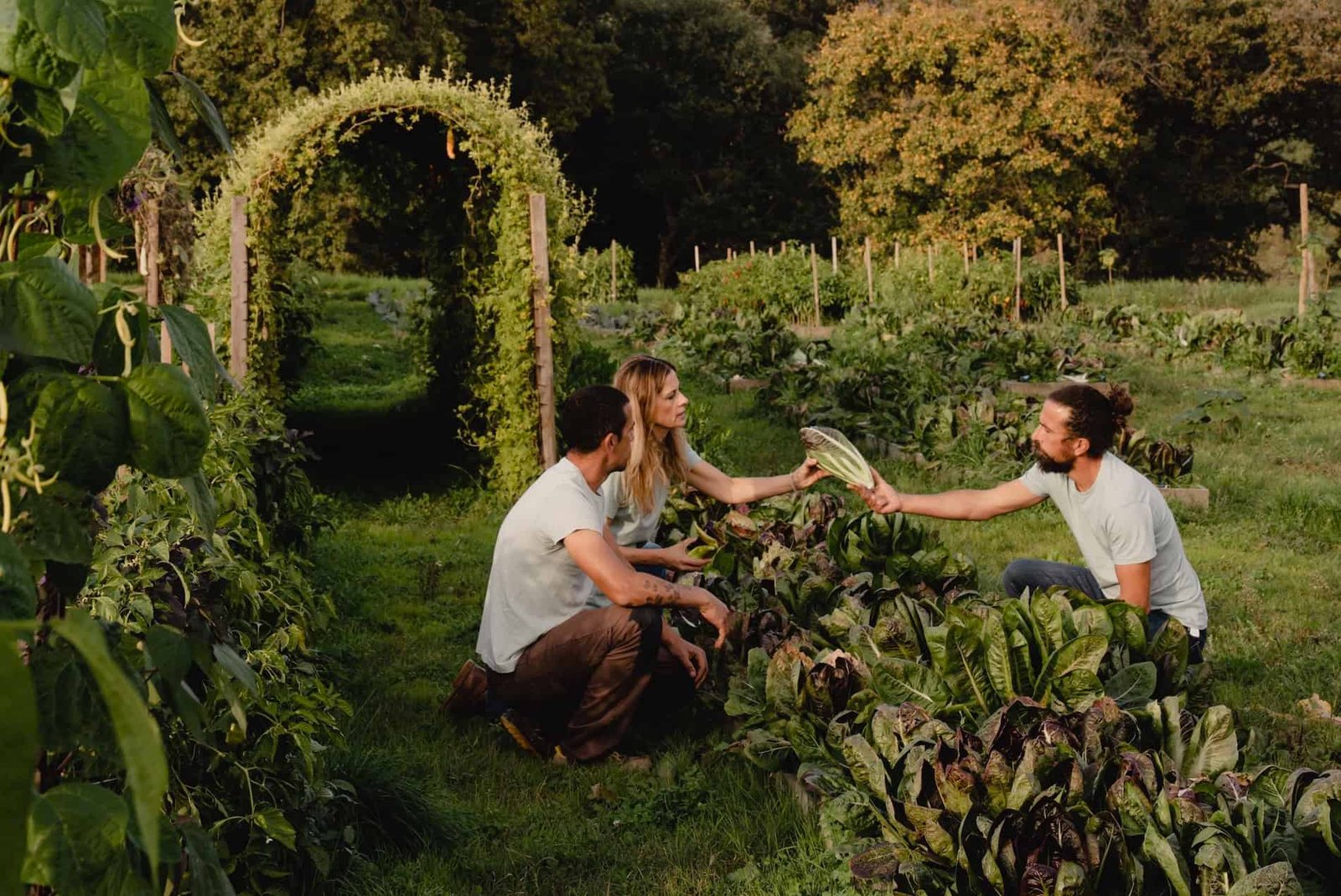 ‘We like breaking the rules’: the radical farm that yields results