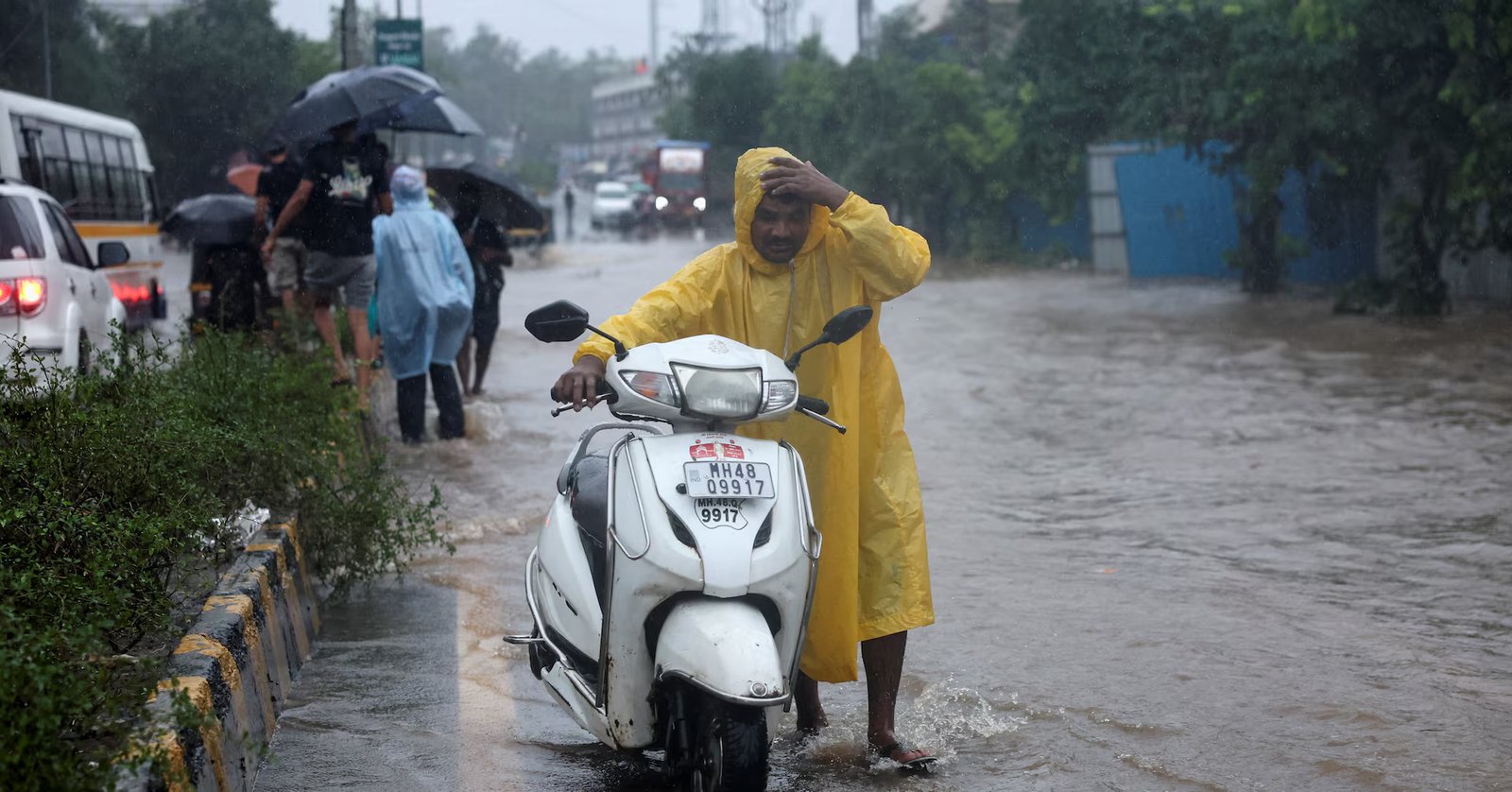 India's monsoon to weaken over west, south in next fortnight