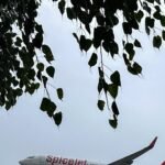 India's SpiceJet bankruptcy cases to be reheard in setback for lessors