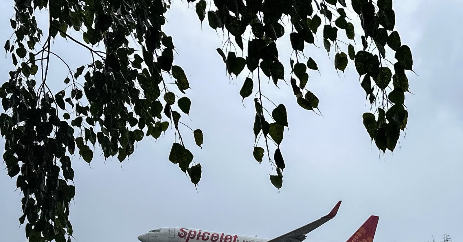 India's SpiceJet bankruptcy cases to be reheard in setback for lessors