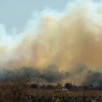 Wildfires: do we love our wild spaces too much?