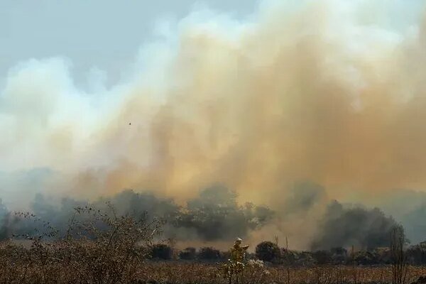 Wildfires: do we love our wild spaces too much?