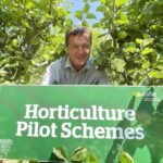 Access innovation support for your production horticulture business