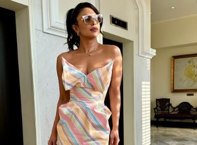 Priyanka Chopra revealed what she does not like about Hindi Film Industry