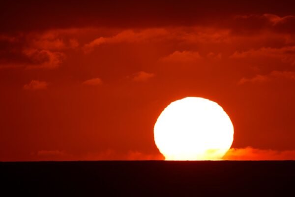 World’s oceans hit highest temperature on record